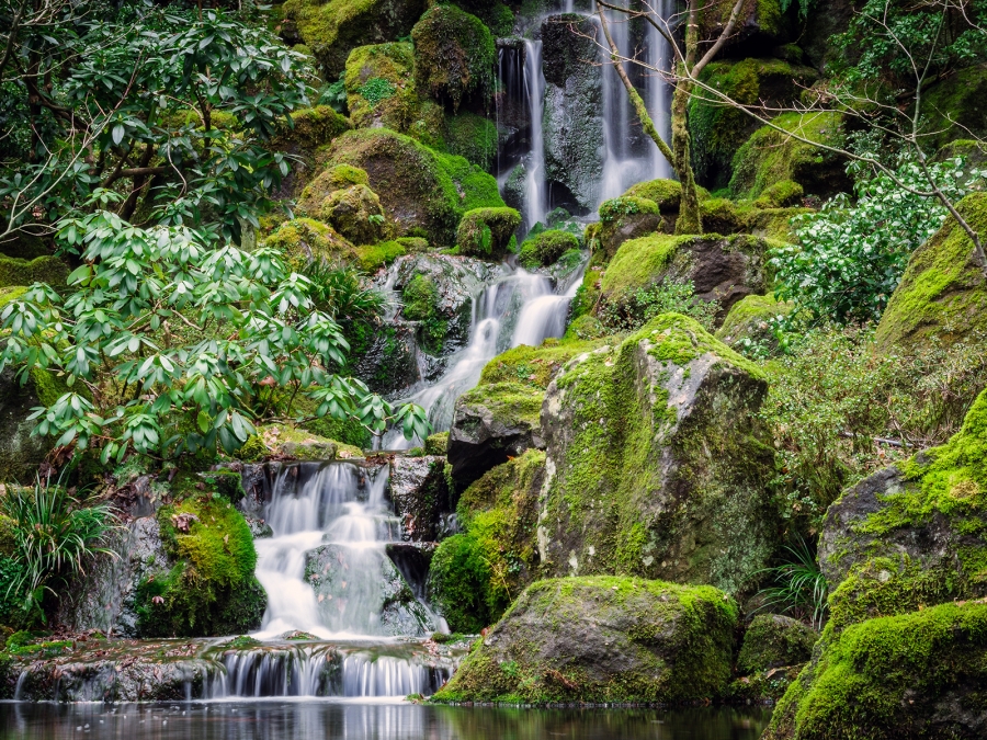 The Japanese Gardens